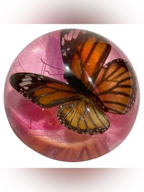 Vintage 1980s Real Common Tiger Butterfly in Lucite Dome Paperweight - Pink Leaf